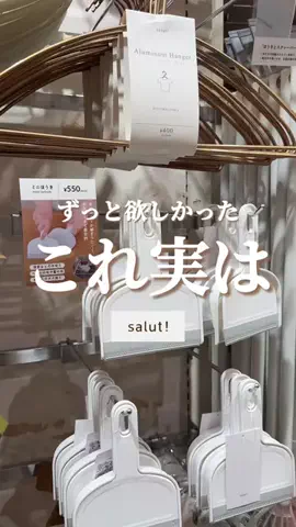 はるの𓊆 好きを見逃さない新作雑貨速報 𓊇のTikTok投稿
