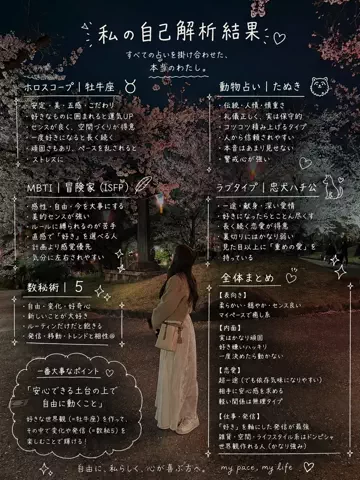はるの𓊆 好きを見逃さない新作雑貨速報 𓊇のTikTok投稿