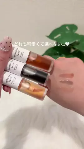ポメラニアンの雪姫🐻‍❄️🎀のTikTok投稿