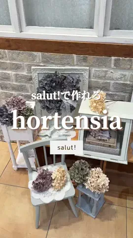 はるの𓊆 好きを見逃さない新作雑貨速報 𓊇のTikTok投稿