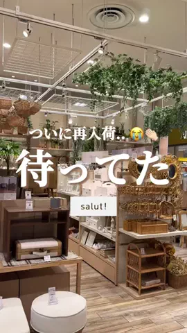 はるの𓊆 好きを見逃さない新作雑貨速報 𓊇のTikTok投稿