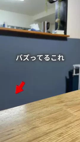 ちゃちゃ| ３兄弟と戦うズボラ母のTikTok投稿
