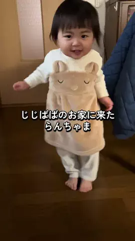 らんちゃまのTikTok投稿