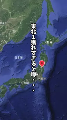 福島情報局|福島1どこにでも行く総合メディアのTikTok投稿