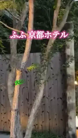 玉雪わーるどのTikTok投稿