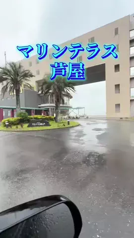 玉雪わーるどのTikTok投稿