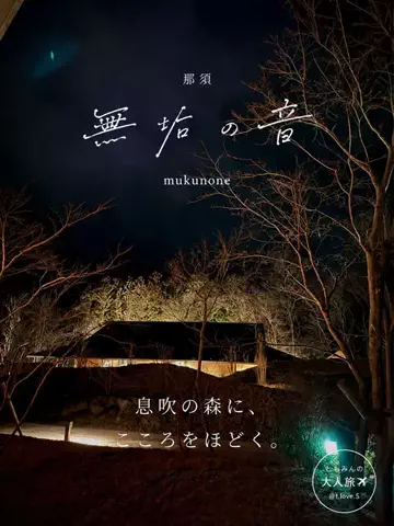 ともみんの大人旅のTikTok投稿