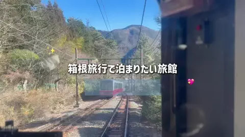 群馬発すー旅⌇旅と暮らしのTikTok投稿