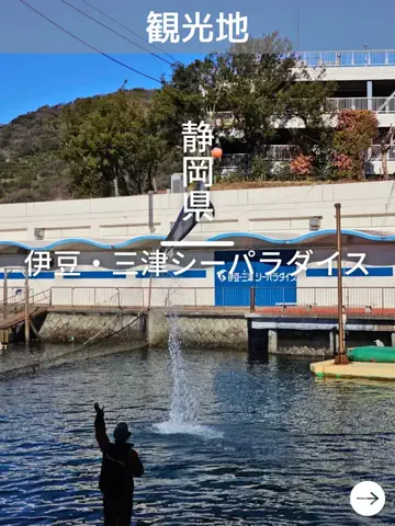 デンじょーの旅のTikTok投稿