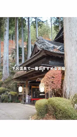 kotokappoのTikTok投稿