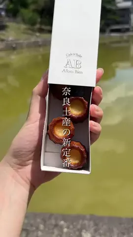 kotokappoのTikTok投稿
