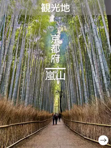デンじょーの旅のTikTok投稿
