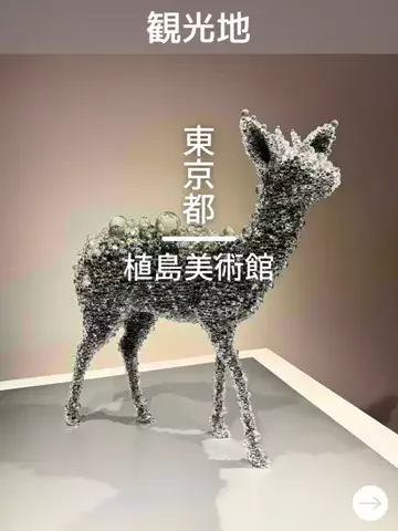デンじょーの旅のTikTok投稿