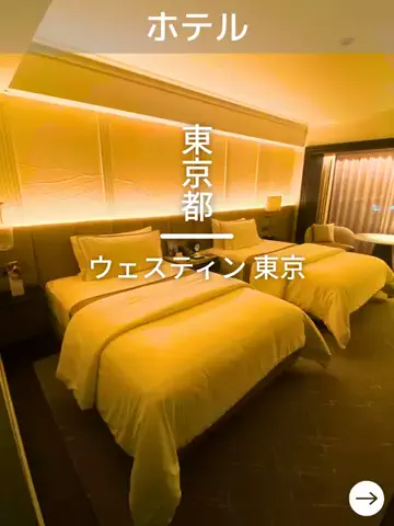 デンじょーの旅のTikTok投稿