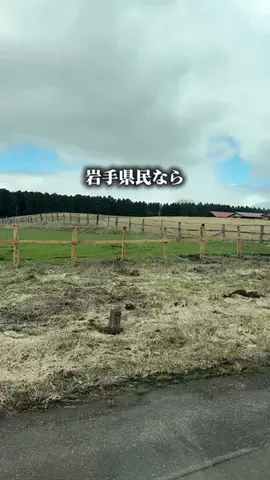 岩手グルメ／IWATE SELECTのTikTok投稿