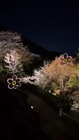 マーケOL浜辺のTikTok投稿