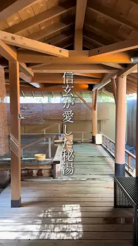こだっくのTikTok投稿