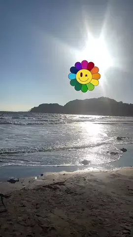 マーケOL浜辺のTikTok投稿