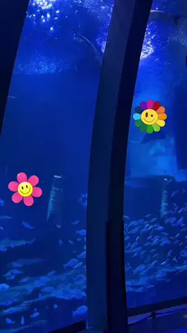 マーケOL浜辺のTikTok投稿