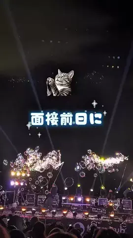 マーケOL浜辺のTikTok投稿