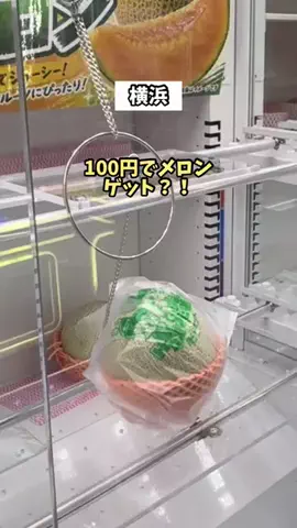 神奈川情報局のTikTok投稿
