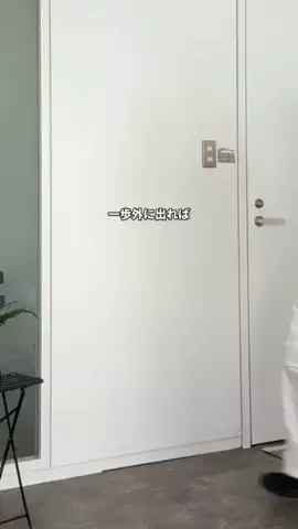 asukaのTikTok投稿