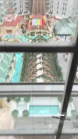 ルイハナちゃんのTikTok投稿