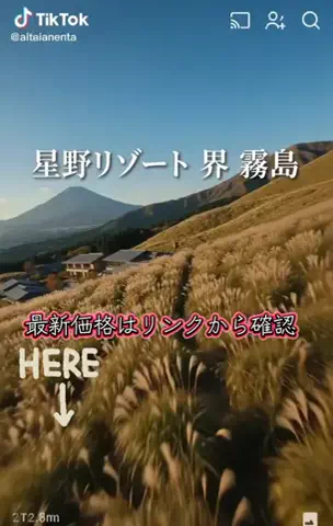カズのTikTok投稿