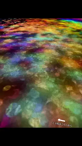 ルイハナちゃんのTikTok投稿