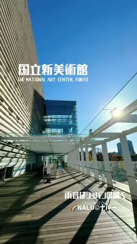 🌈NALU☺︎ナルーのTikTok投稿