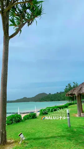 🌈NALU☺︎ナルーのTikTok投稿