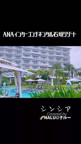 🌈NALU☺︎ナルーのTikTok投稿