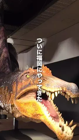 うお | 福岡のTikTok投稿