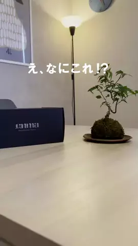 のん｜100日後に北欧風の部屋を作るバツイチ男のTikTok投稿