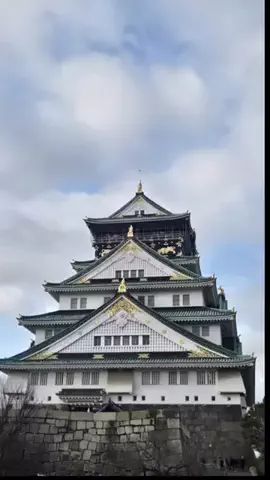 ℂ𝕆ℂ𝕆𝔸のTikTok投稿