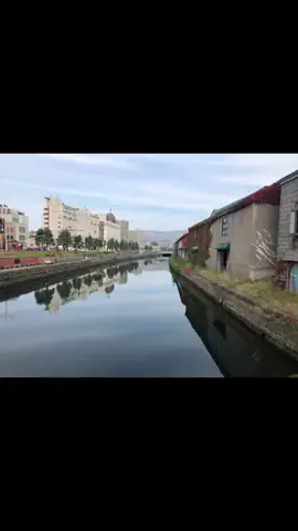 ℂ𝕆ℂ𝕆𝔸のTikTok投稿