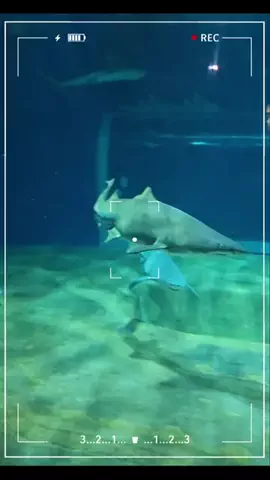 ℂ𝕆ℂ𝕆𝔸のTikTok投稿