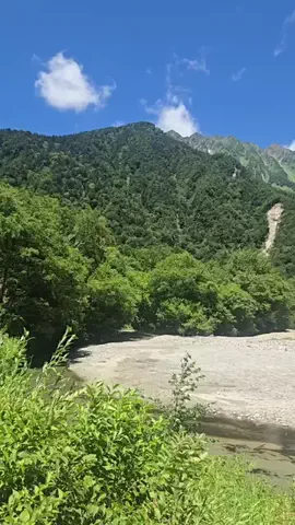 ℂ𝕆ℂ𝕆𝔸のTikTok投稿