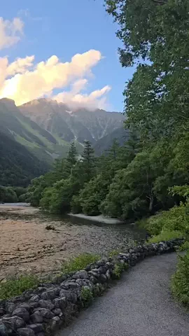 ℂ𝕆ℂ𝕆𝔸のTikTok投稿