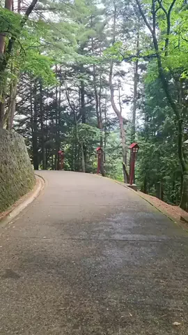 ℂ𝕆ℂ𝕆𝔸のTikTok投稿