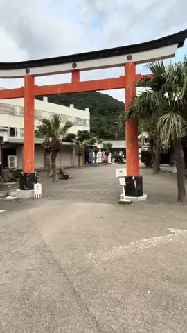 おとけしきのTikTok投稿