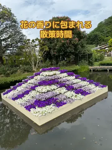 おとけしきのTikTok投稿