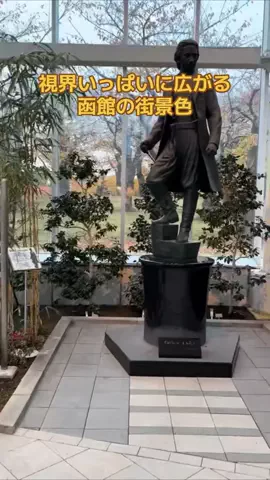 おとけしきのTikTok投稿