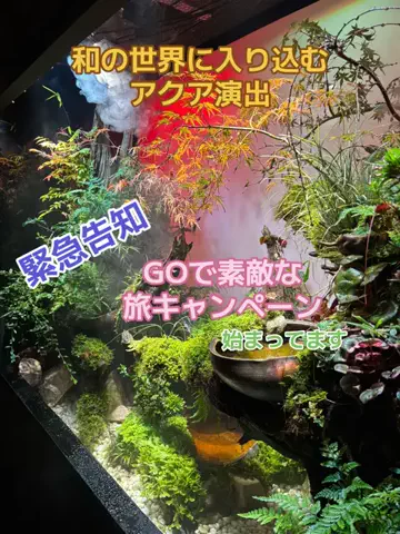 おとけしきのTikTok投稿