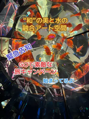 おとけしきのTikTok投稿