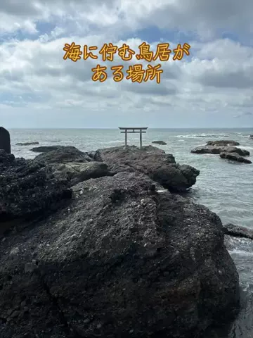 おとけしきのTikTok投稿