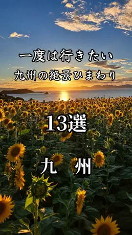 サム/九州旅行【観光地/宿/グルメ】のTikTok投稿