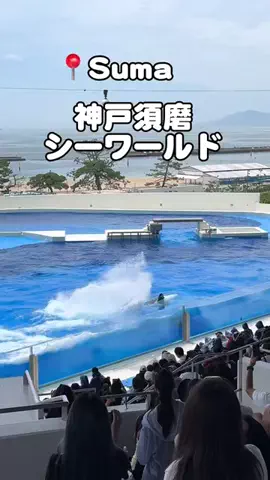 りこまい女子旅のTikTok投稿