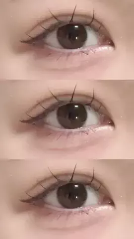 🐻のTikTok投稿