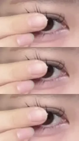 🐻のTikTok投稿